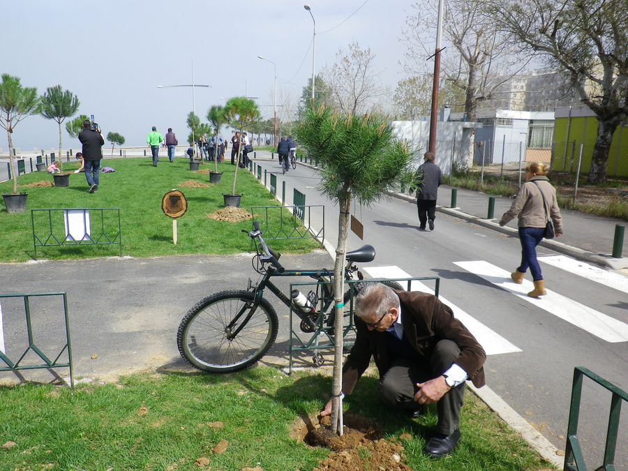 2013 - Δενδροφύτευση στο Μ.Μ.Θ