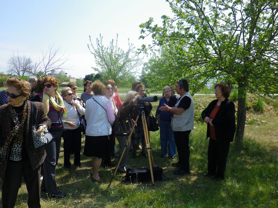 Λίμνη Βόλβη — Μελετώντας υπεραιωνόβια Πλατάνια, Ερωδιούς και αετούς