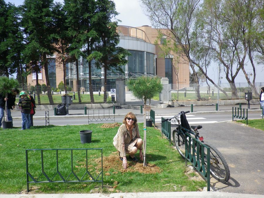 2013 - Δενδροφύτευση στο Μ.Μ.Θ